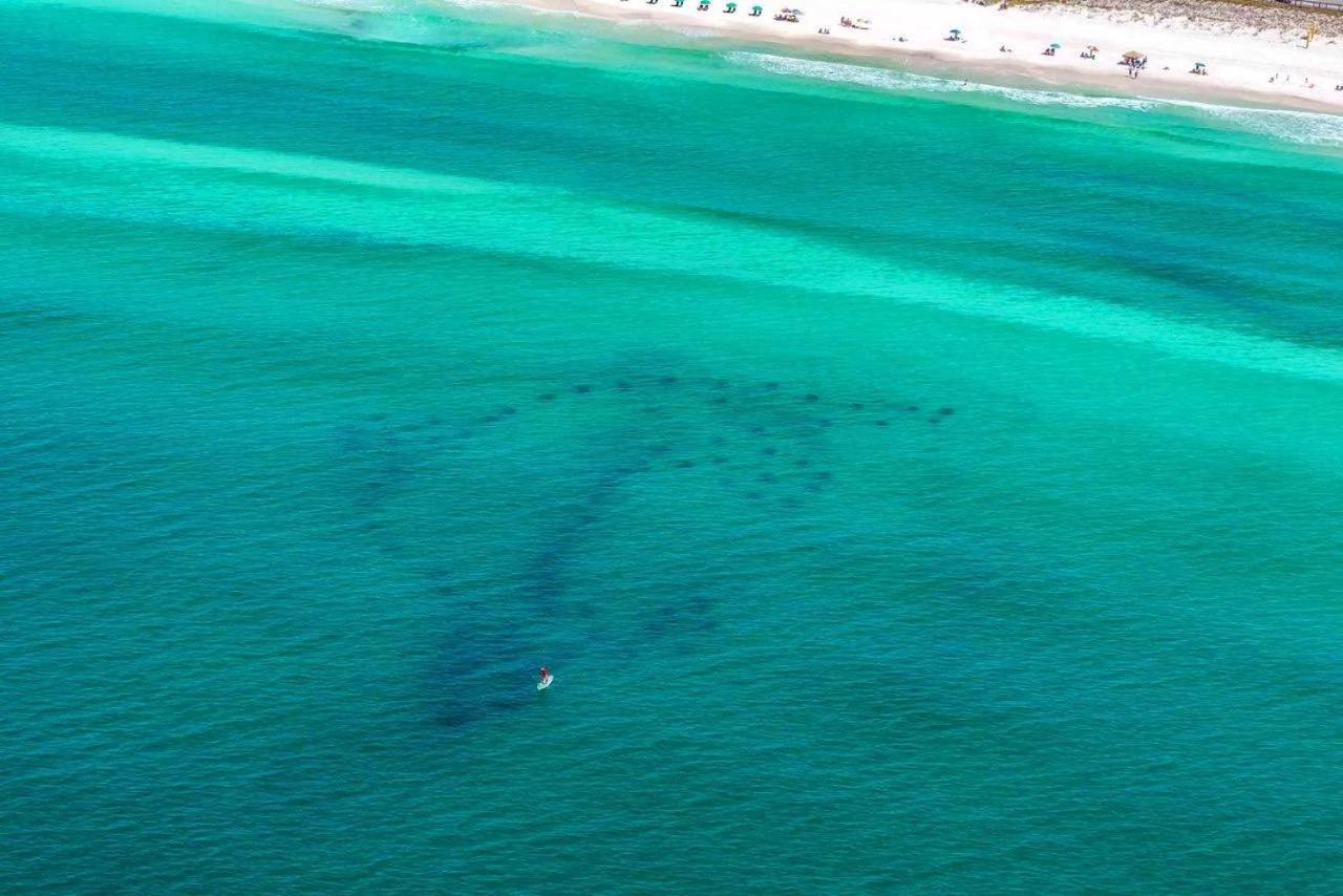Beach Haven- Beach Pointe 703 Destin Eksteriør bilde
